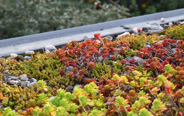 the cost of Cranagh green roof installation