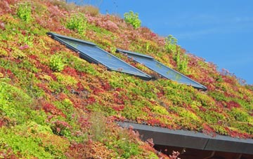 Cranagh living roof systems