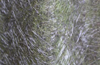 Cranagh fibreglass roof work